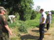 Уничтожение наркосодержащей растительности