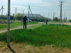Работа по благоустройству поселения.