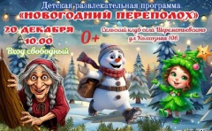 Новогодний переполох!