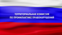 Аналитический отчет о деятельности территориальной комиссии по профилактике профилактики в Ванновском сельском поселении Тбилисского района за 2022 год.
