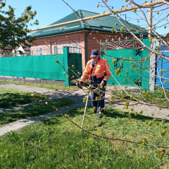 Жители поселения активно участвуют в наведении санитарного порядка на своих придомовых территориях.