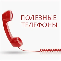 Сохраните себе! Полезные номера телефонов для жителей нашего поселения☑️