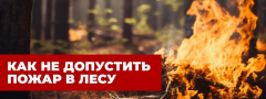 Как не допустить пожар в лесу.
