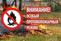 На территории Ванновского сельского поселения введен особый противопожарный режим.