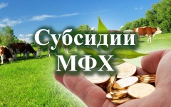📢 Внимание, представители МФХ! 📢