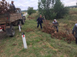 Благоустройство. Работа МКУ.