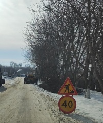 🌳🔧 Внимание, жители! 