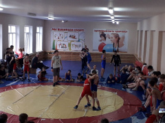 Спорт. Борьба, минифутбол, бадминтон.