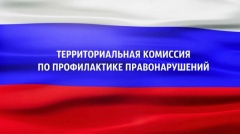 Заседание территориальной комиссии по профилактике правонарушений состоялось 25 марта в штатном режиме.
