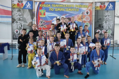 Состоялись соревнования на кубок по джиу-джитсу.