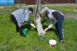 🌳 Итоги Всекубанского субботника в Ванновском поселении