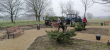 🌿 Благоустройство в действии: площадка стала зеленее! 